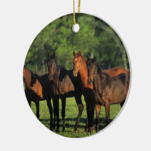 Thoroughbred Yearlings Keramisch Ornament (Links)