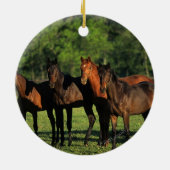 Thoroughbred Yearlings Keramisch Ornament (Achterkant)