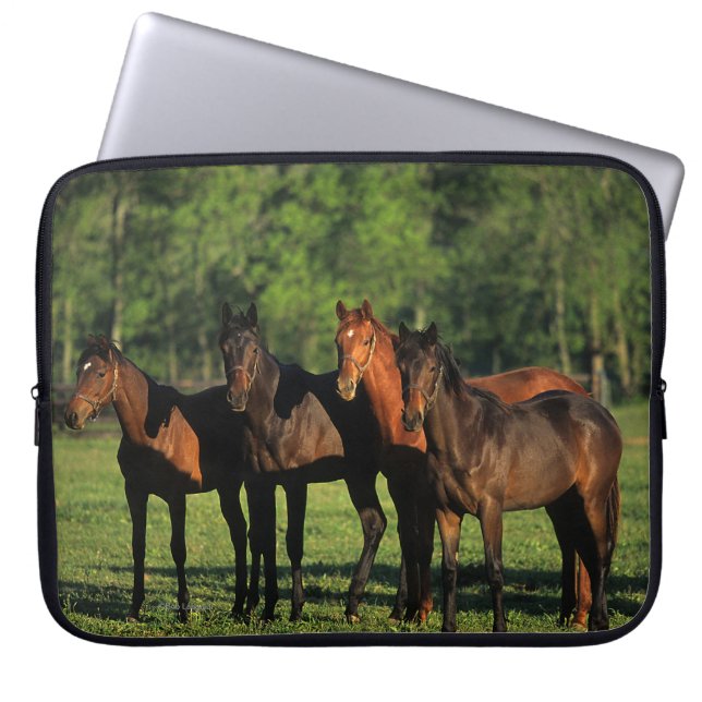 Thoroughbred Yearlings Laptop Sleeve (Voorkant)