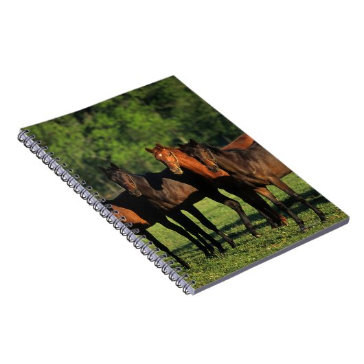 Thoroughbred Yearlings Notitieboek (Rechterzijde)