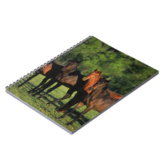 Thoroughbred Yearlings Notitieboek (Linkerzijde)