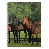Thoroughbred Yearlings Notitieboek (Voorkant)