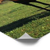 Thoroughbred Yearlings Poster (Hoek)