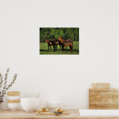 Thoroughbred Yearlings Poster (Keuken)