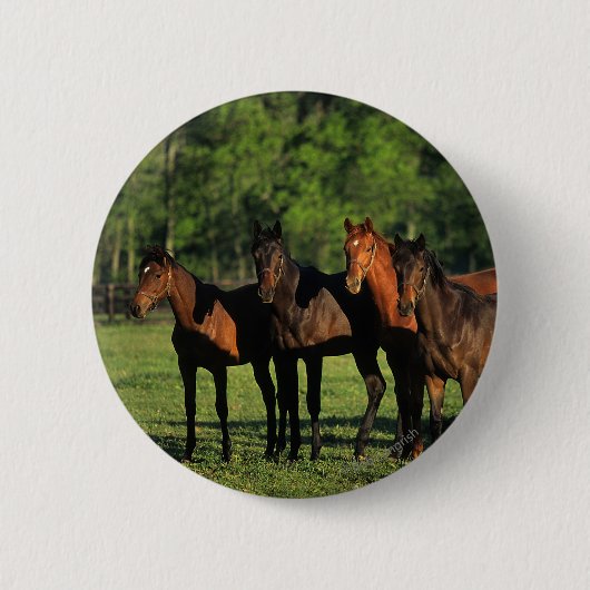 Thoroughbred Yearlings Ronde Button 5,7 Cm (Voorkant)