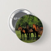 Thoroughbred Yearlings Ronde Button 5,7 Cm (Voorkant /achterkant)