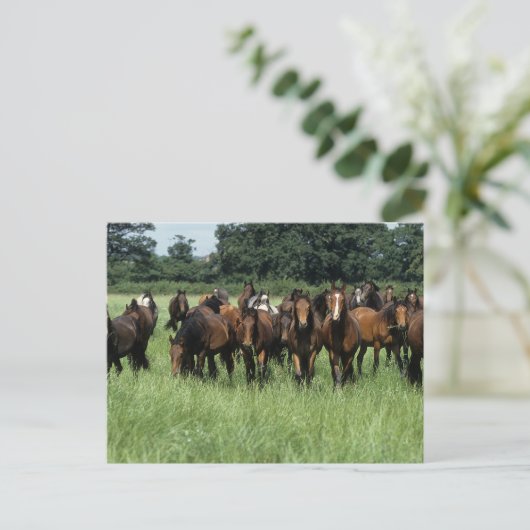 Thoroughbred Youngsters Briefkaart (Staand voorkant)