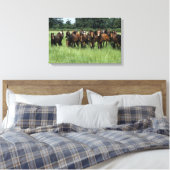 Thoroughbred Youngsters Canvas Afdruk (Insitu (Slaapkamer))