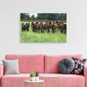 Thoroughbred Youngsters Canvas Afdruk (Insitu (Woonkamer))