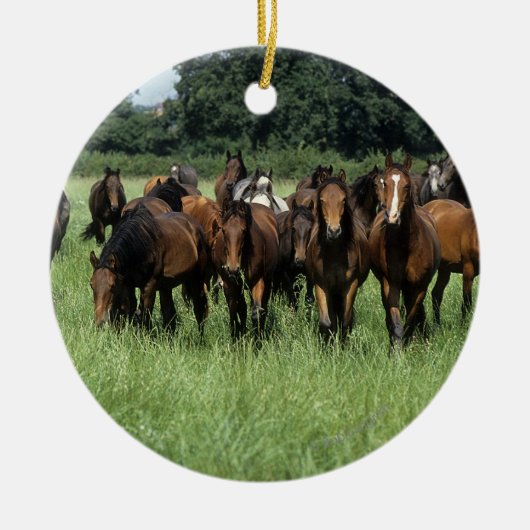 Thoroughbred Youngsters Keramisch Ornament (Voorkant)