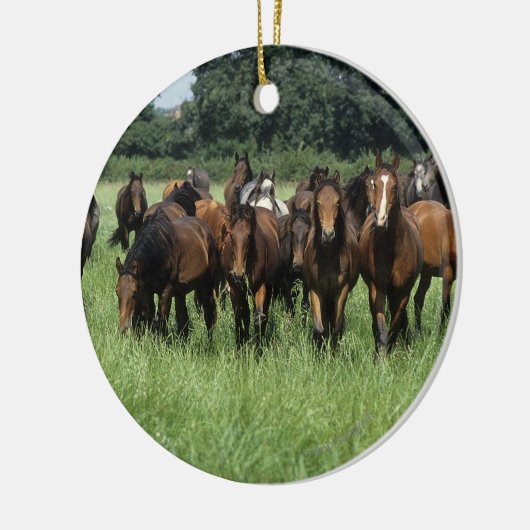 Thoroughbred Youngsters Keramisch Ornament (Links)
