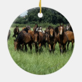 Thoroughbred Youngsters Keramisch Ornament (Achterkant)