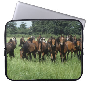 Thoroughbred Youngsters Laptop Sleeve