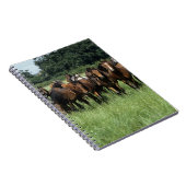 Thoroughbred Youngsters Notitieboek (Rechterzijde)