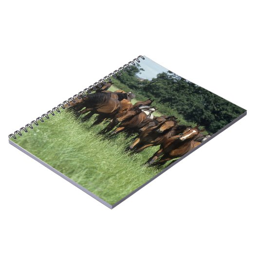 Thoroughbred Youngsters Notitieboek (Linkerzijde)