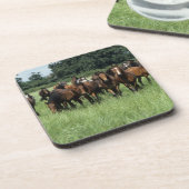 Thoroughbred Youngsters Onderzetter (Linkerzijde)