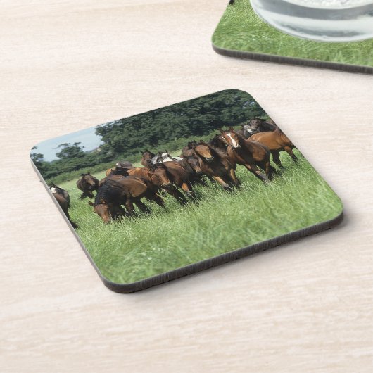 Thoroughbred Youngsters Onderzetter (Linkerzijde)