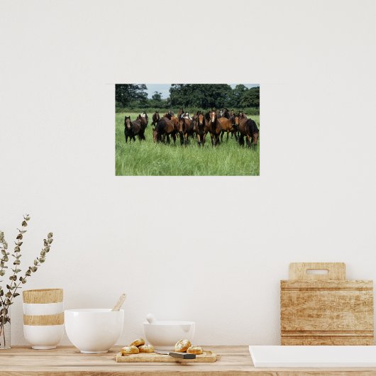 Thoroughbred Youngsters Poster (Keuken)