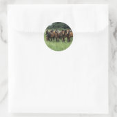 Thoroughbred Youngsters Ronde Sticker (Tas)