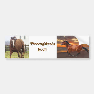 Thoroughbreds Rock Bumpersticker