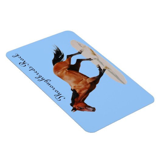 Thoroughbreds Rock Premium Magnet Magneet (Rechterzijde)