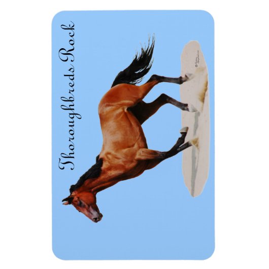 Thoroughbreds Rock Premium Magnet Magneet (Verticaal)