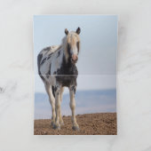 Thor's Eyes - Wild Horse Greeting Card Kaart (Binnen)