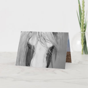 Thor's Eyes - Wild Horse Greeting Card Kaart