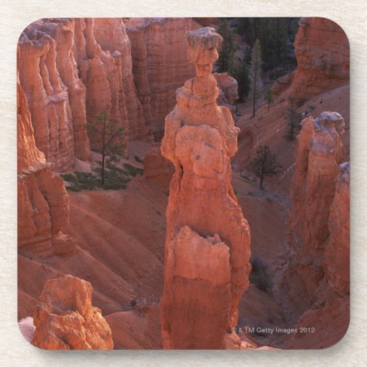 Thors hammer hoodoo op Navajo Trail Bier Onderzetter (Voorkant)