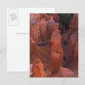 Thors hammer hoodoo op Navajo Trail Briefkaart (Voorkant / Achterkant)