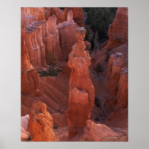 Thors hammer hoodoo op Navajo Trail Poster
