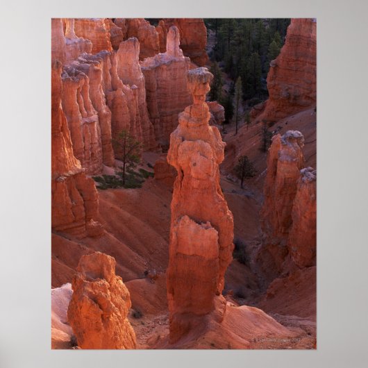 Thors hammer hoodoo op Navajo Trail Poster (Voorkant)