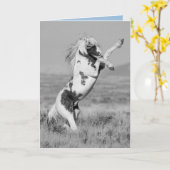 Thors Rears Wild Horse Wenskaart Kaart (Gele Bloem)