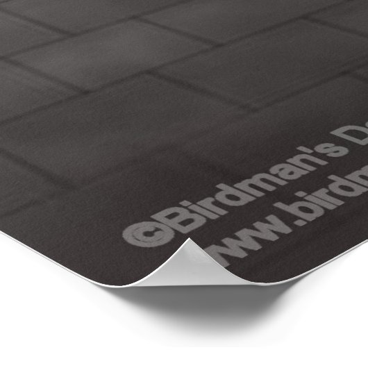 Thoth_The Moon Deity Poster (Hoek)