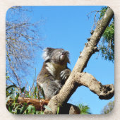 Thoughtful Australian Koala, Bier Onderzetter (Voorkant)