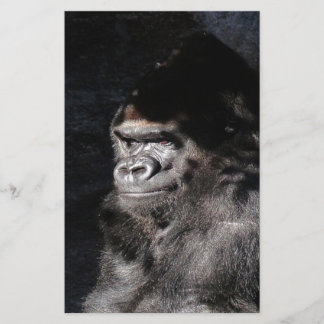 Thoughtful Gorilla