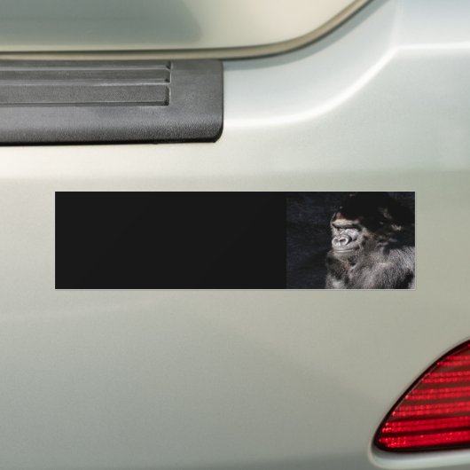 Thoughtful Gorilla Bumpersticker (Op auto)