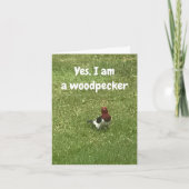 **THOUHTFUL WOODPECKER ZEGT GEWELDIGE BIRTHDAY* KA KAART (Voorkant)