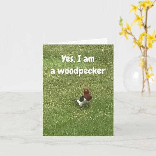 **THOUHTFUL WOODPECKER ZEGT GEWELDIGE BIRTHDAY* KA KAART (Gele Bloem)