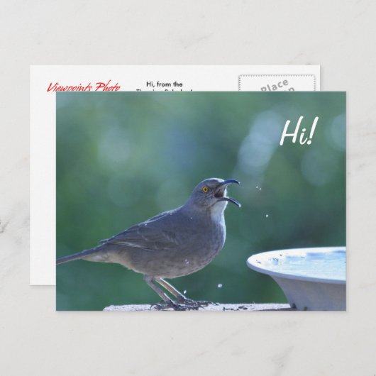 Thrasher Splasher Briefkaart (Voorkant / Achterkant)