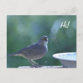 Thrasher Splasher Briefkaart (Voorkant)