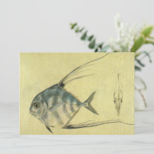  Threadfin Trevally, Afrikaanse Pompano vis