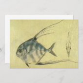 Threadfin Trevally, Afrikaanse Pompano vis (Voorkant / Achterkant)