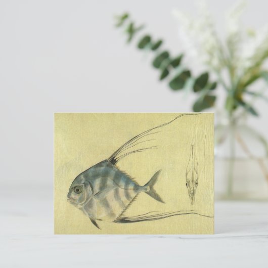  Threadfin Trevally, Afrikaanse Pompano vis Briefkaart (Staand voorkant)