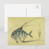  Threadfin Trevally, Afrikaanse Pompano vis Briefkaart (Voorkant / Achterkant)