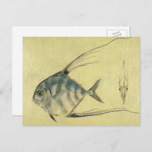  Threadfin Trevally, Afrikaanse Pompano vis Briefkaart (Voorkant / Achterkant)