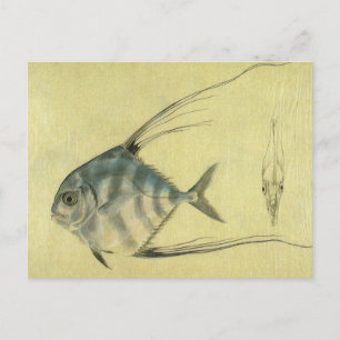  Threadfin Trevally, Afrikaanse Pompano vis Briefkaart
