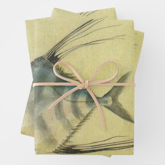 Threadfin Trevally, Afrikaanse Pompano vis Inpakpapier Vel (In situ)