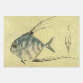  Threadfin Trevally, Afrikaanse Pompano vis Inpakpapier Vel (Voorkant)