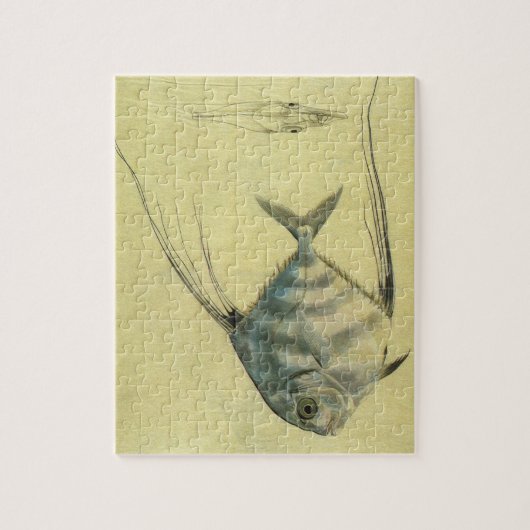  Threadfin Trevally, Afrikaanse Pompano vis Legpuzzel (Verticaal)